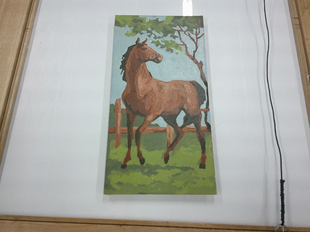 Paint by number- Horse
