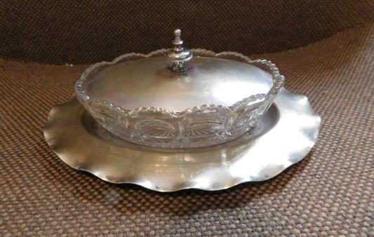Covered Dish & Tray