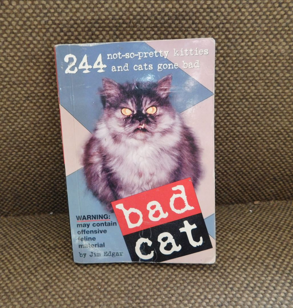 Bad Cat Book