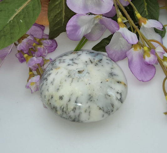 Dendritic Opal Palm Stone Stones