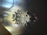 Swarovski Swarovski Crystal Hedgehog - Retired