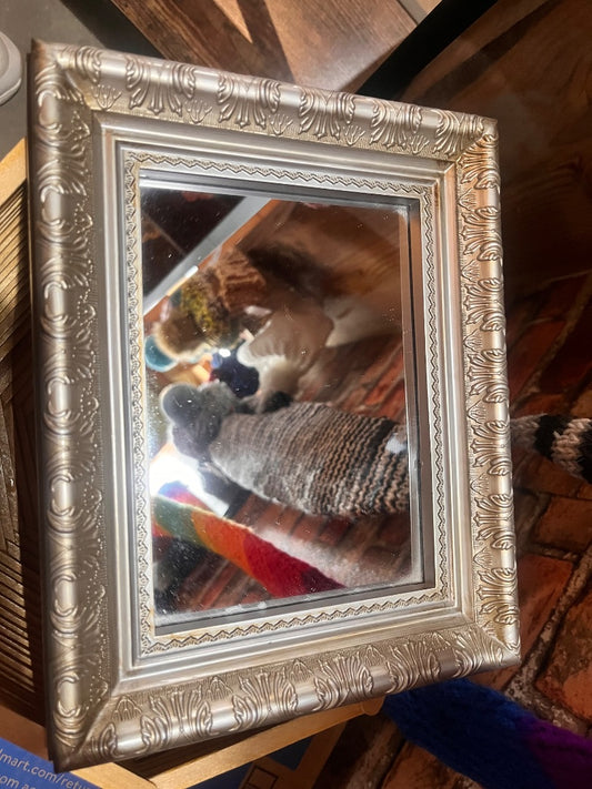 Silver  Mirror, 8x10