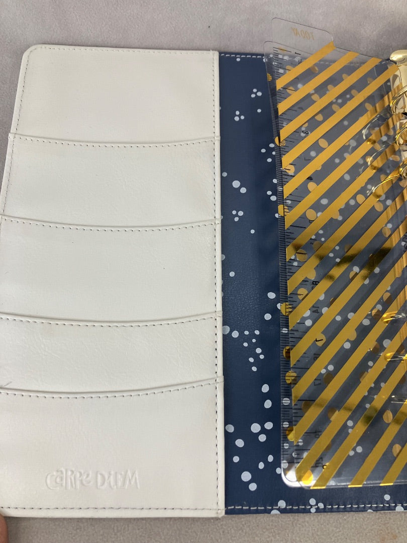 Multicolor Carpe Diem Planner, 12