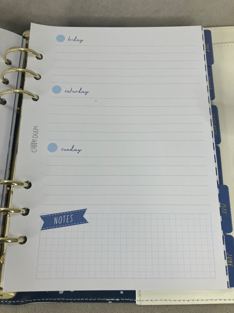 Multicolor Carpe Diem Planner, 12