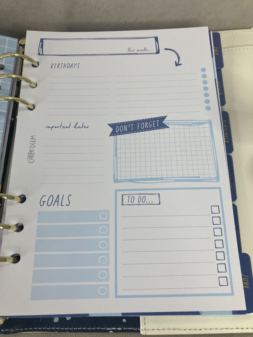 Multicolor Carpe Diem Planner, 12