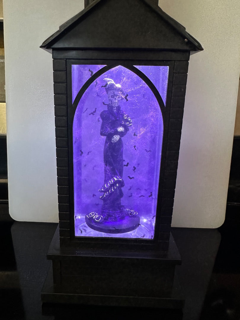 Lighted Snow Globe