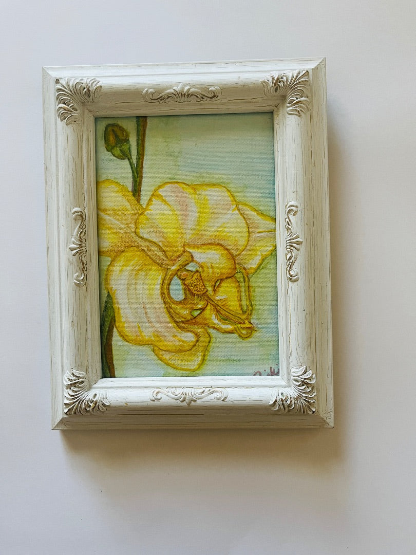 Original Ink Orchid Drawing 5x7 in a White Farm.Original Ink Drawing, 5x7