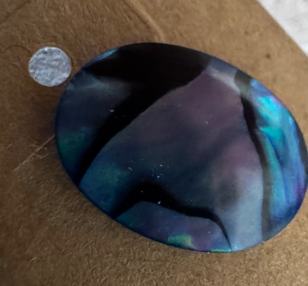 Abalonefx Oval stud earrings