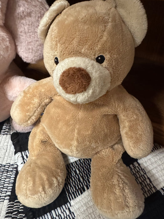 Build-A-Bear Cuddle Bear