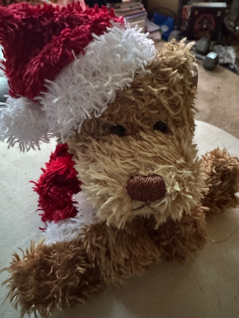 Mery Meyer Santa Bear