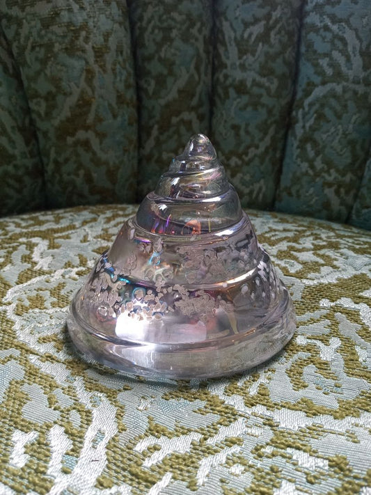Glass shell paperweight