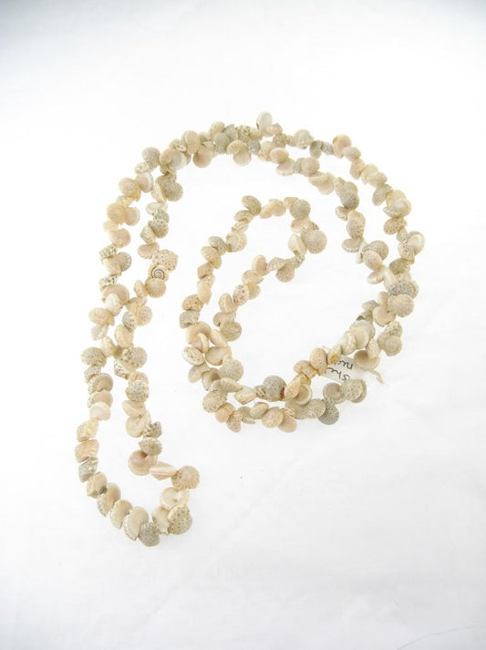 Shell necklace