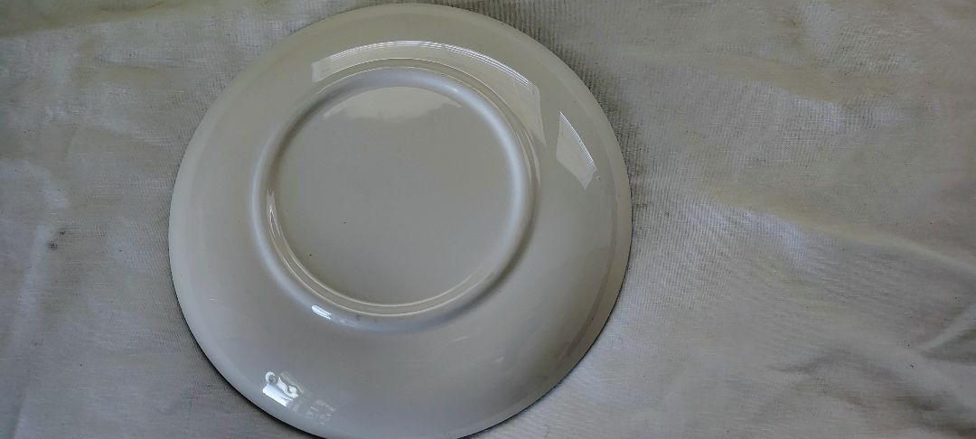 Teal  salad plates, see pics
