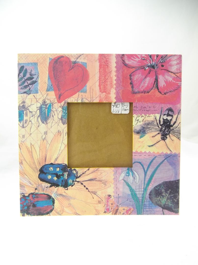 Beetle insect picture frame