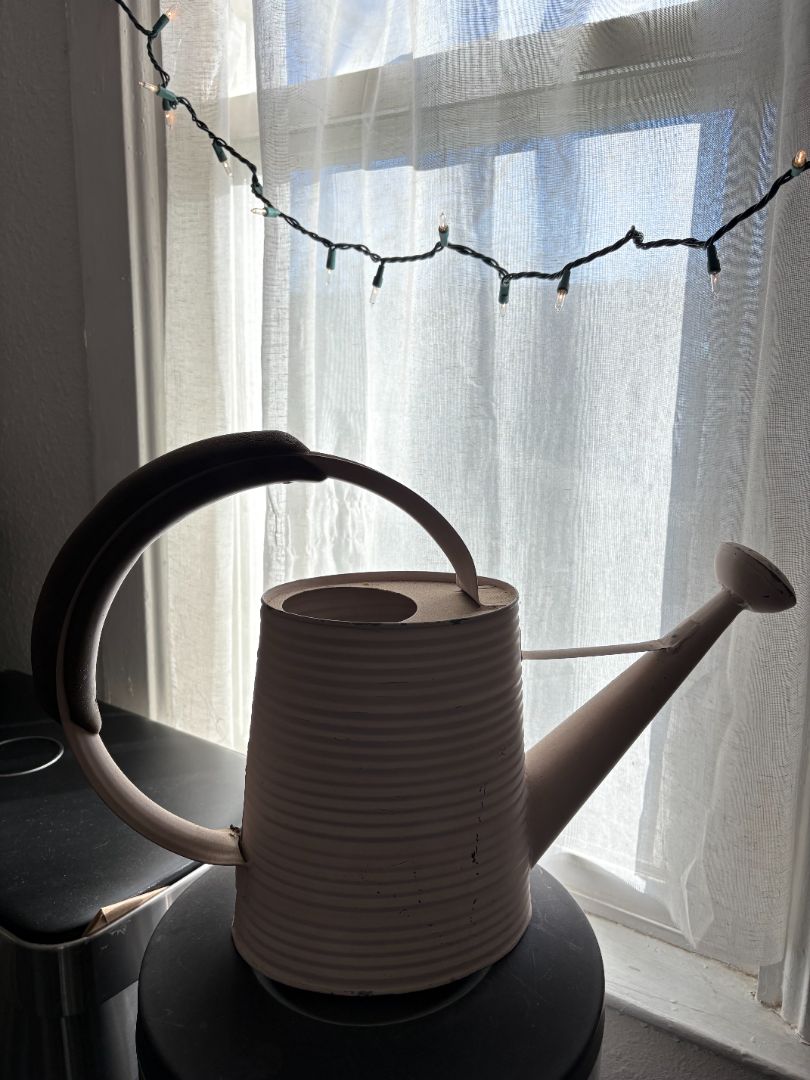 Vintage Watering Can