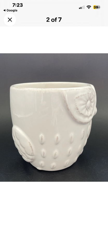 Pier 1 Imports "Ollie the Owl"