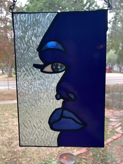 Stained Glass Panel Spider!