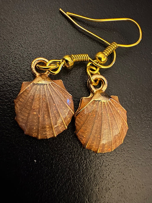 Cream scallop shell dangle earrings