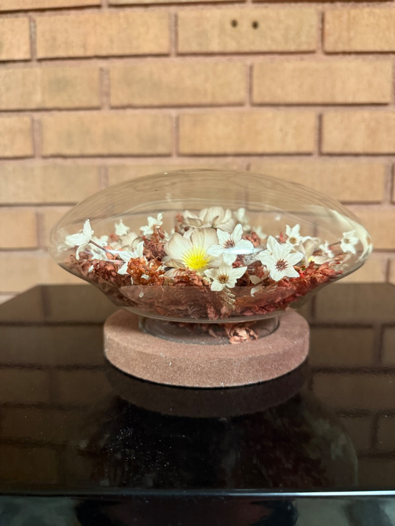 Fall Colors  Dried Flowers under Glass Dome, 5” tall, 7 1/2” across