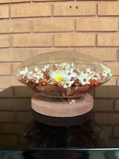 Fall Colors  Dried Flowers under Glass Dome, 5” tall, 7 1/2” across