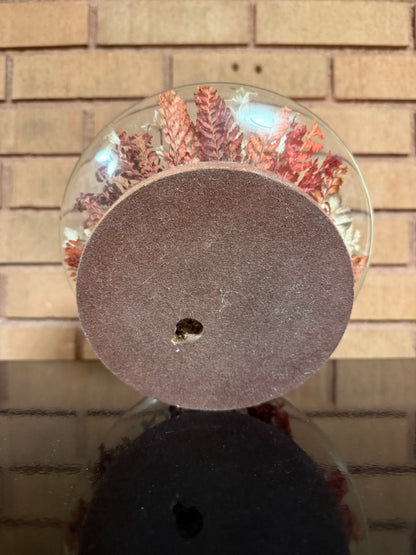 Fall Colors  Dried Flowers under Glass Dome, 5” tall, 7 1/2” across