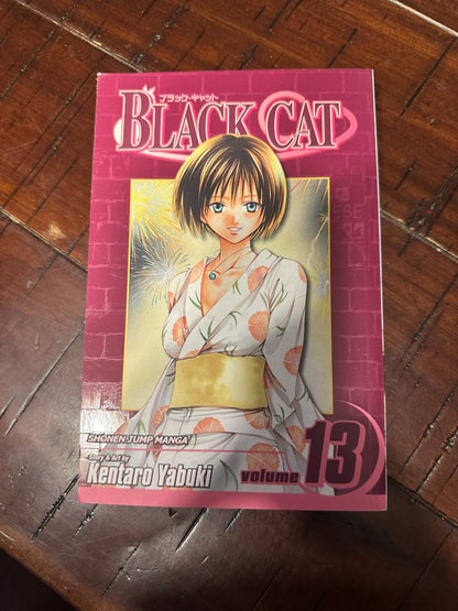 Black Cat Manga 13