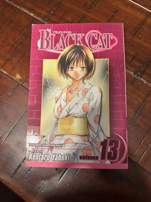 Black Cat Manga 13