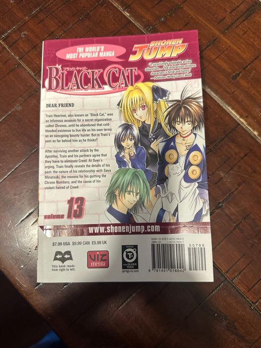 Black Cat Manga 13