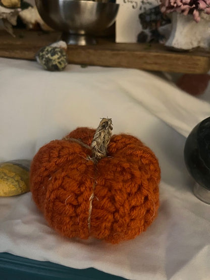 Orange Queer & Crafty Pumpkin - Extra Small, 2x3
