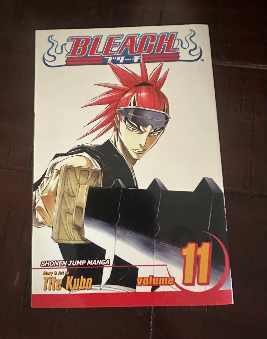 Bleach Manga Vol 11