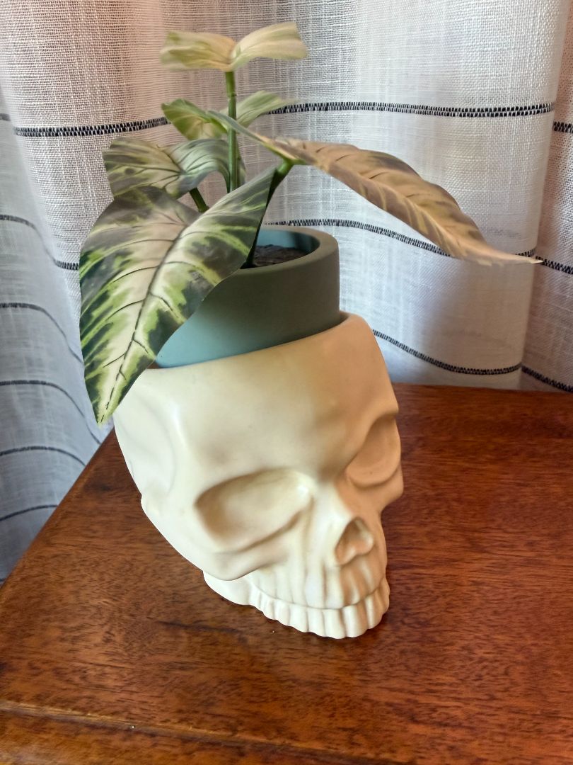 Skull Candle Holder With Plant