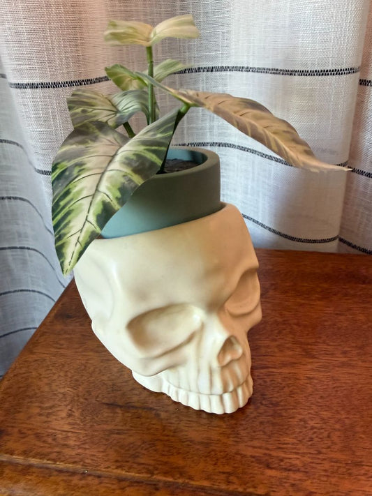 Skull Candle Holder With Plant