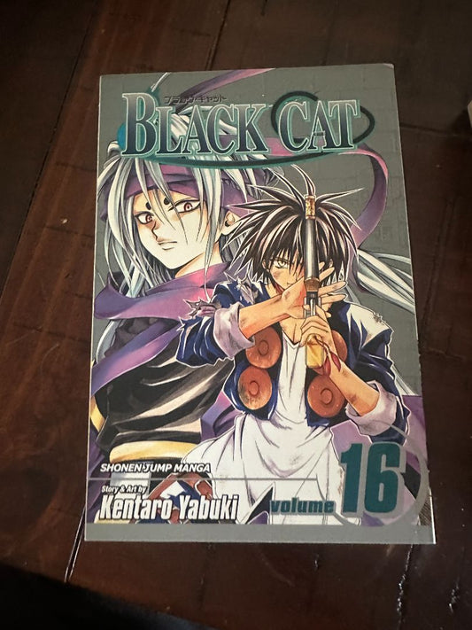 Black Cat Manga #16