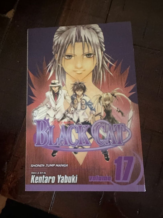 Black Cat Manga #17