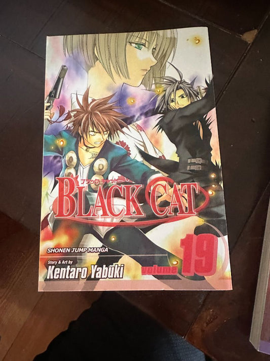 Black Cat Manga 19