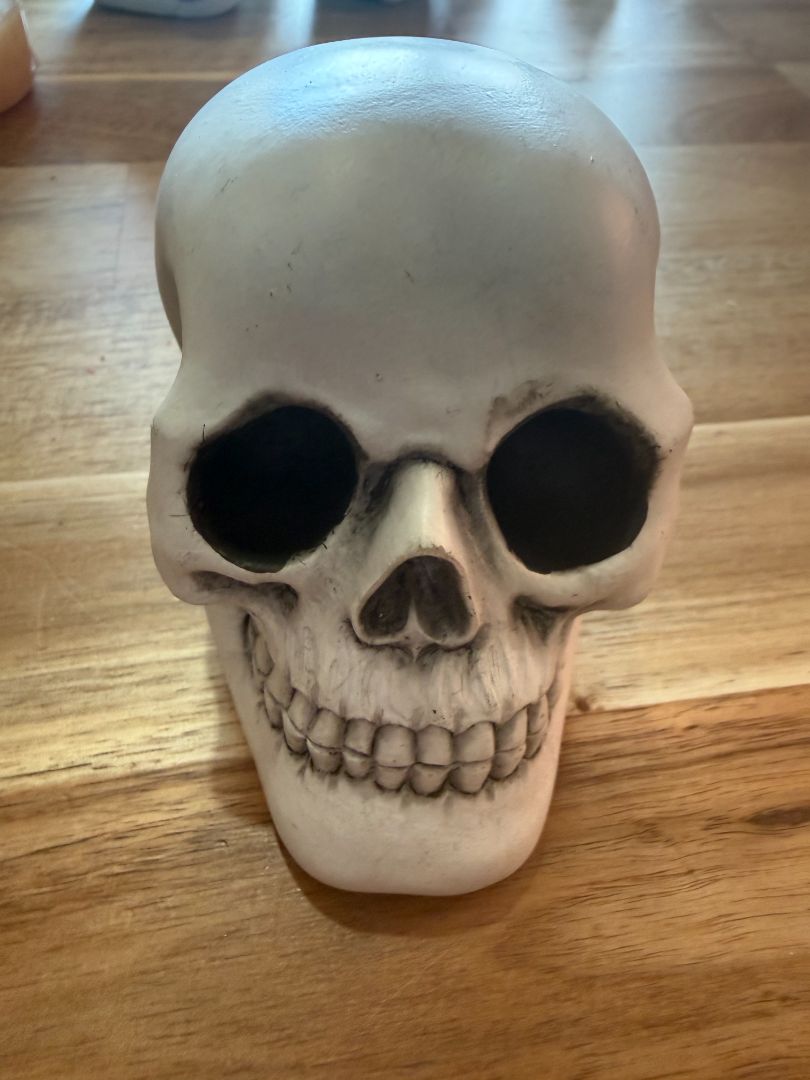 Small Skull