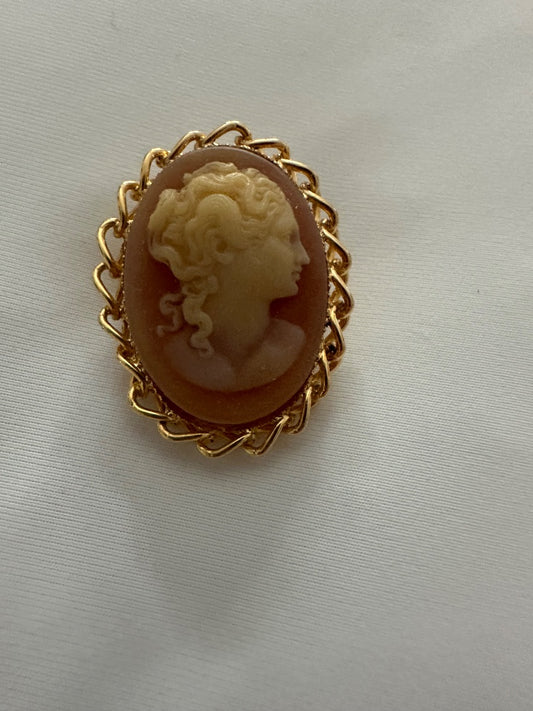 Cameo pendant or brooch/interchangeable