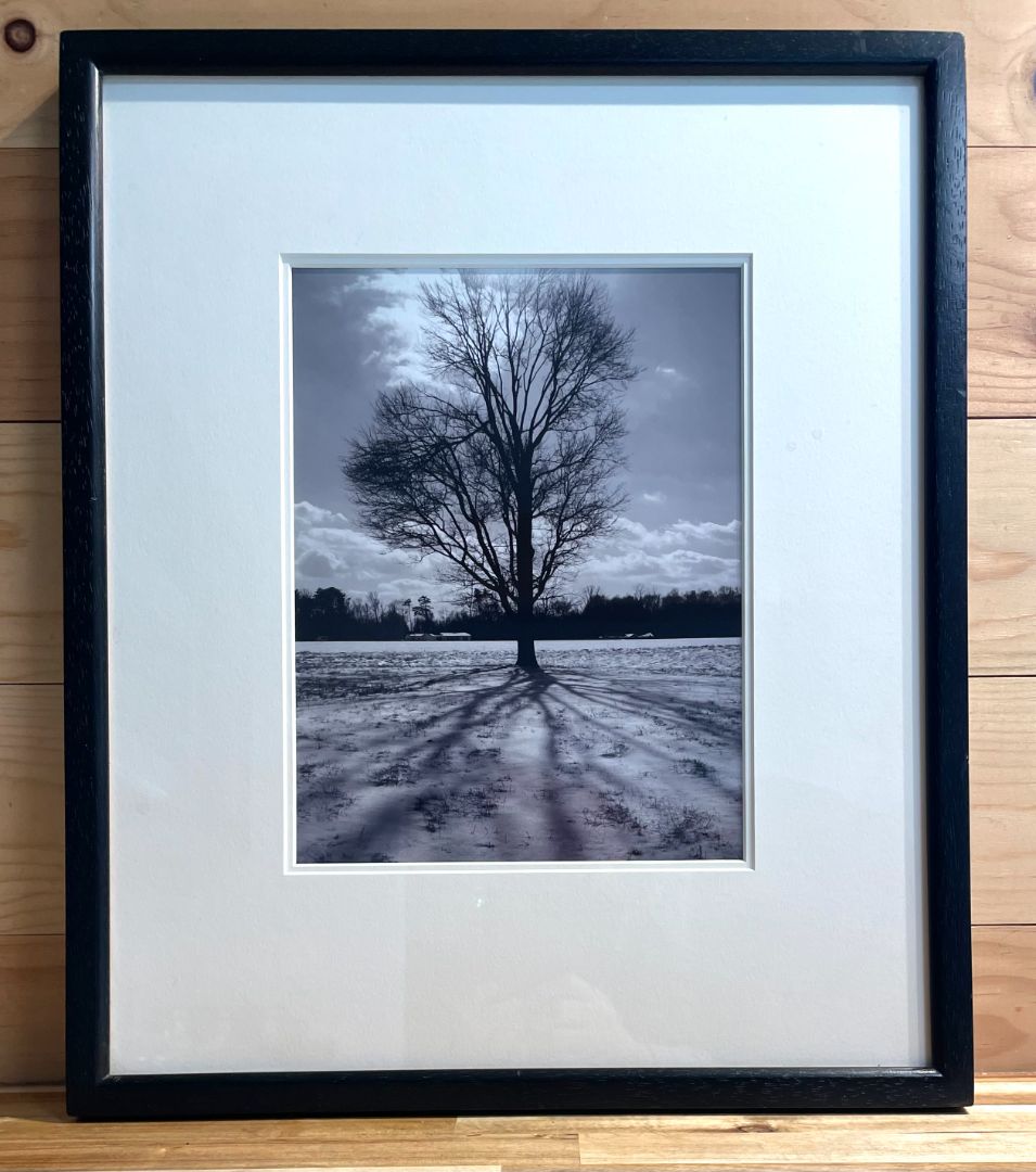 "Solintude" Black & White Framed Photo, 15 1/2" (w) x 18 1/2" (t)
