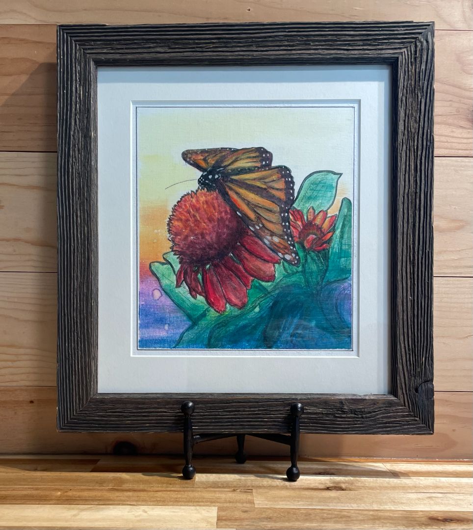 Kodak Monarch & Echinacea, 14" (w) x 15 1/4" (h)