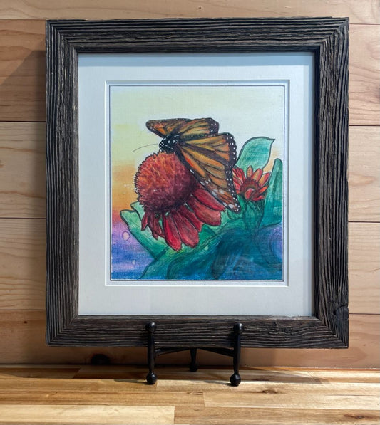 Kodak Monarch & Echinacea, 14" (w) x 15 1/4" (h)