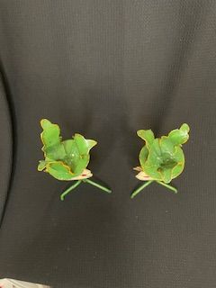 Candle Hldrs (2 pcs)