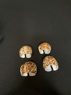 FOUR (4) Vtg Shell Napkin Rings