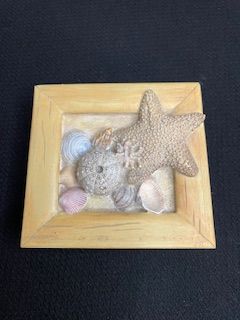Shell Trinket Box