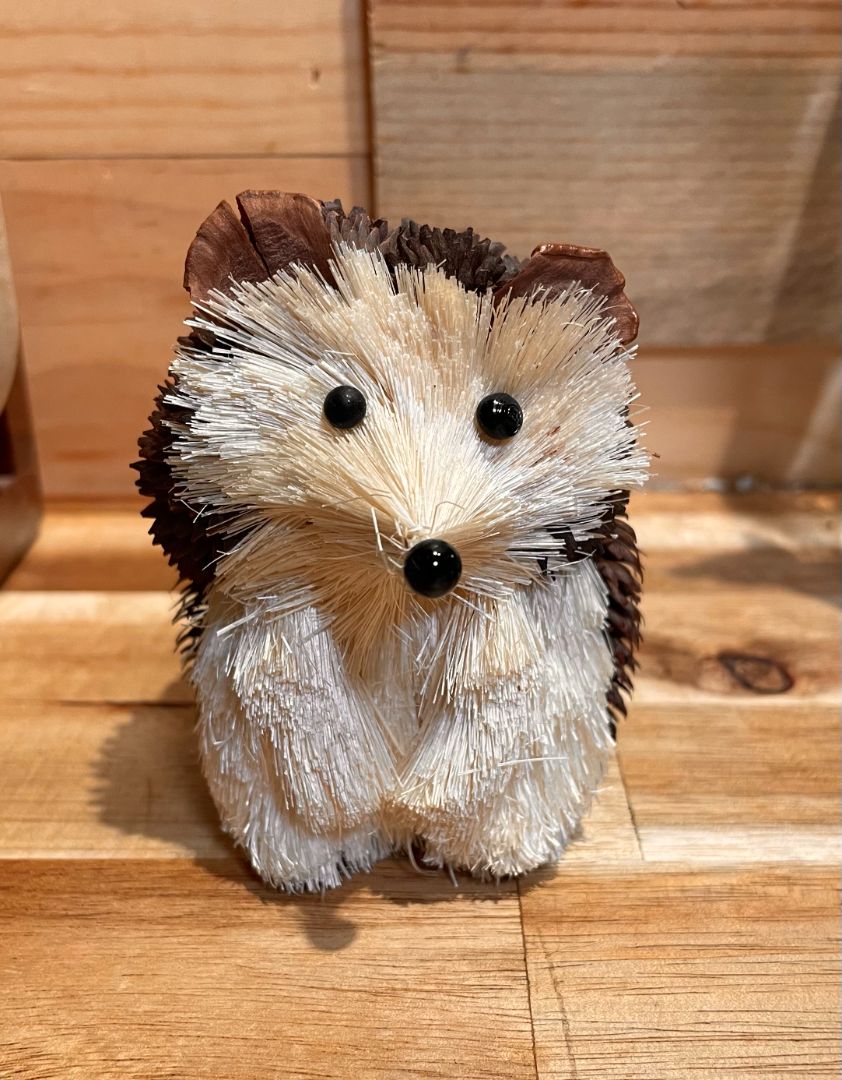 Hedge Hog
