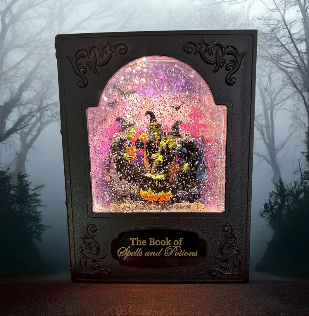 Lighted Snow Globe Book