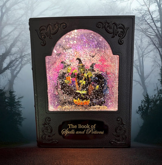 Lighted Snow Globe Book