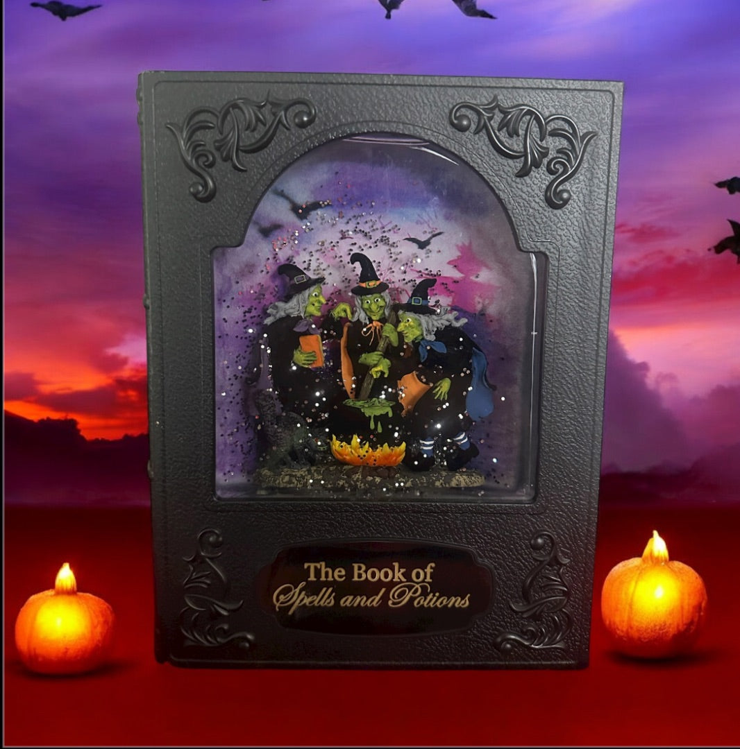 Lighted Snow Globe Book