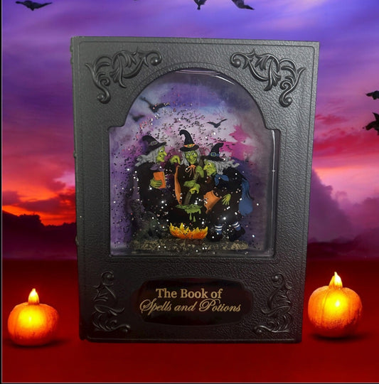 Lighted Snow Globe Book