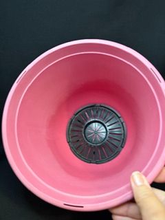 Pink Planter