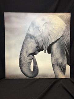 Elephant Print